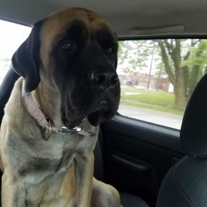 Meet your Posher, Melissa